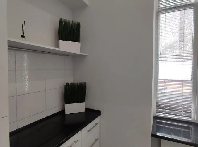 в центре львова ул.дорошенка,23 *